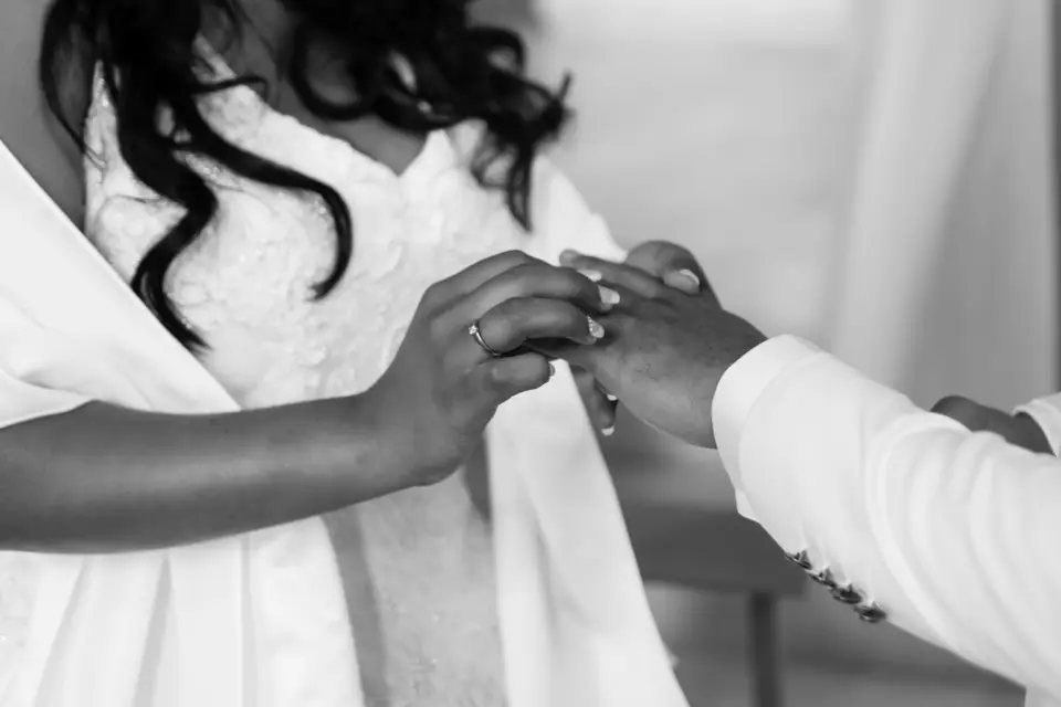 Wise Monkey Productions — photo 4