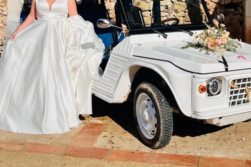 Esprit M — photo 5