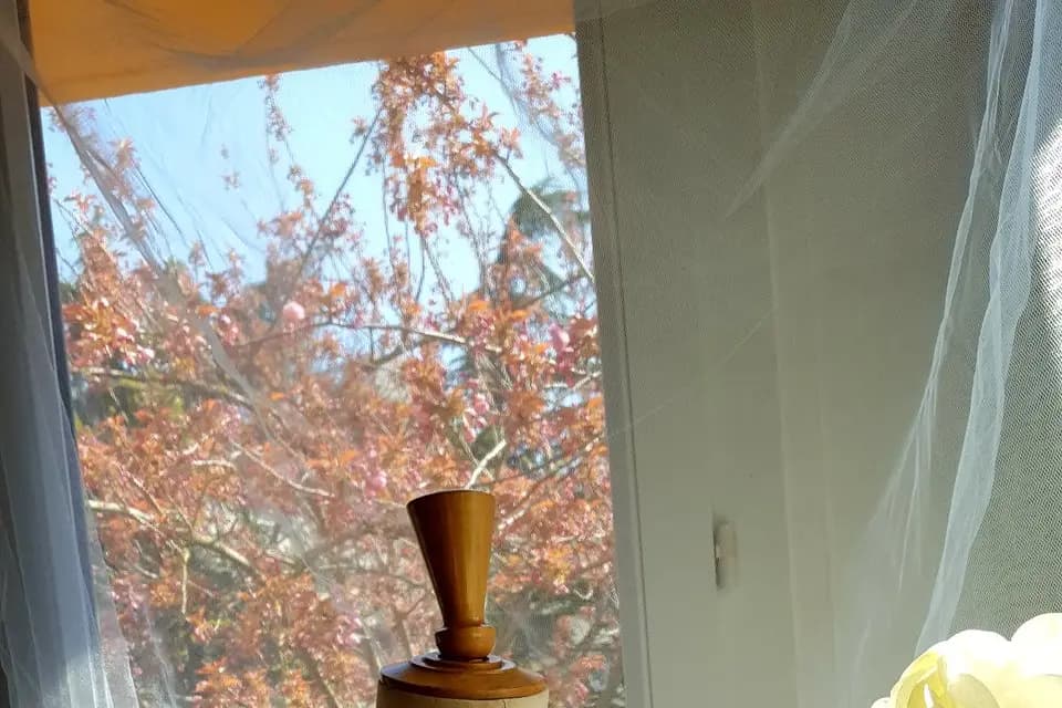 Hélavie Couture et Créations — photo 8