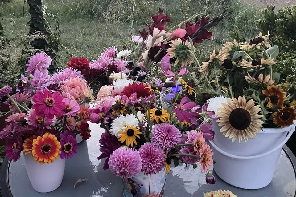 La Malle en Paillettes — photo 3