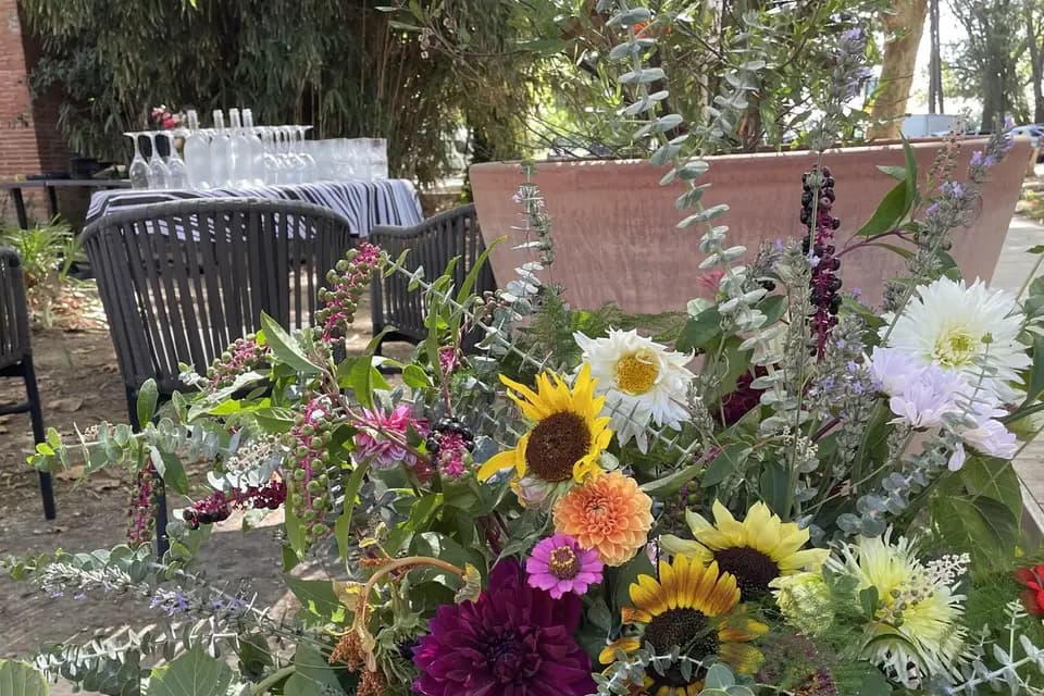 La Malle en Paillettes — photo 8