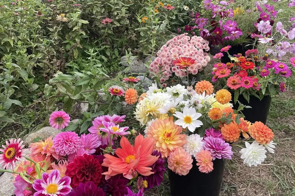 La Malle en Paillettes — photo 6