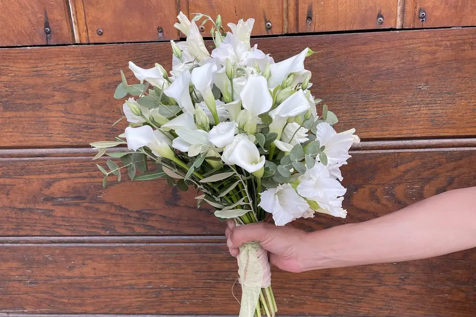 La Malle en Paillettes — photo 7