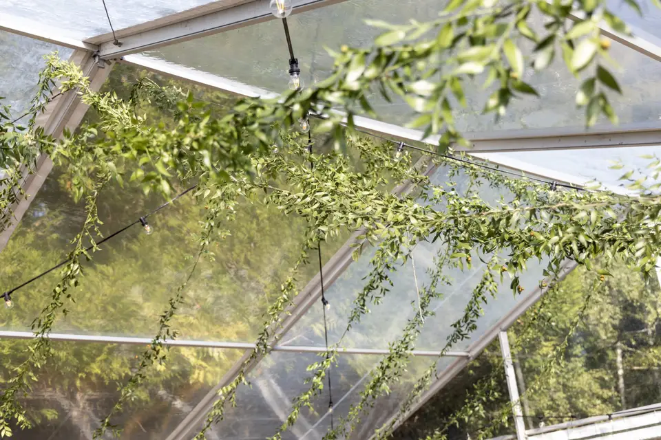 Lune de Miel — photo 4