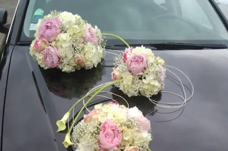 Stop fleurs — photo 3