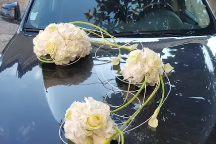 Stop fleurs — photo 5