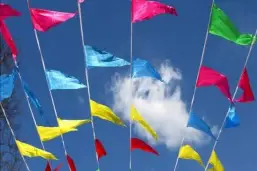 The Mariage — photo 8