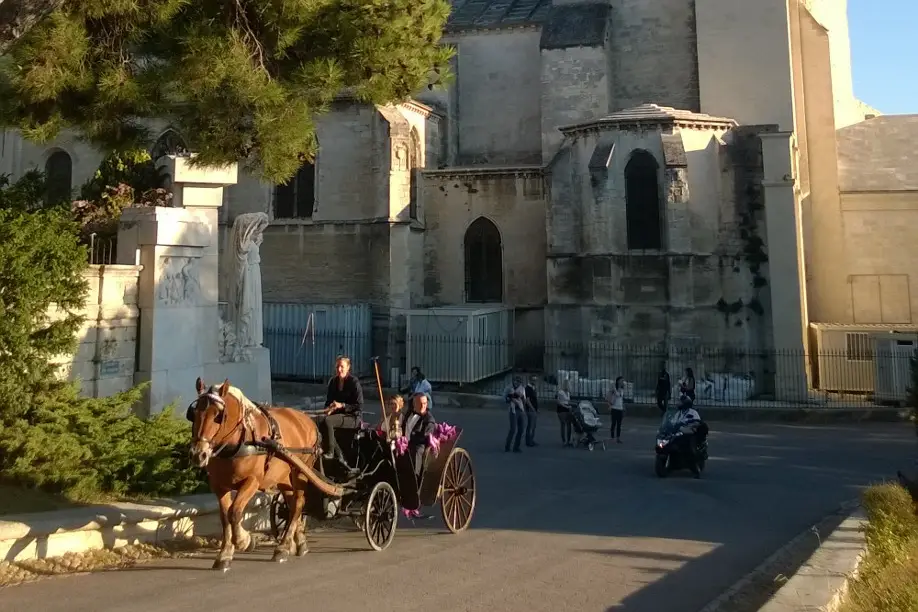Avignon Calèches — photo 7