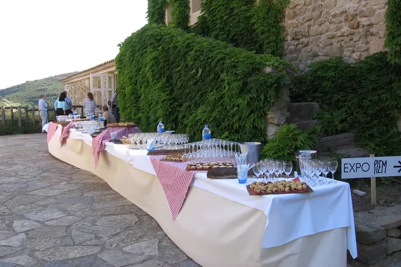 Château de Jonquières — photo 4