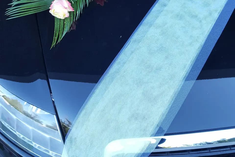 Aux pensées de Mandy — photo 3