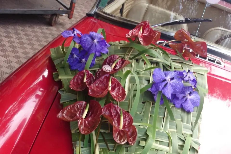 Aux pensées de Mandy — photo 2