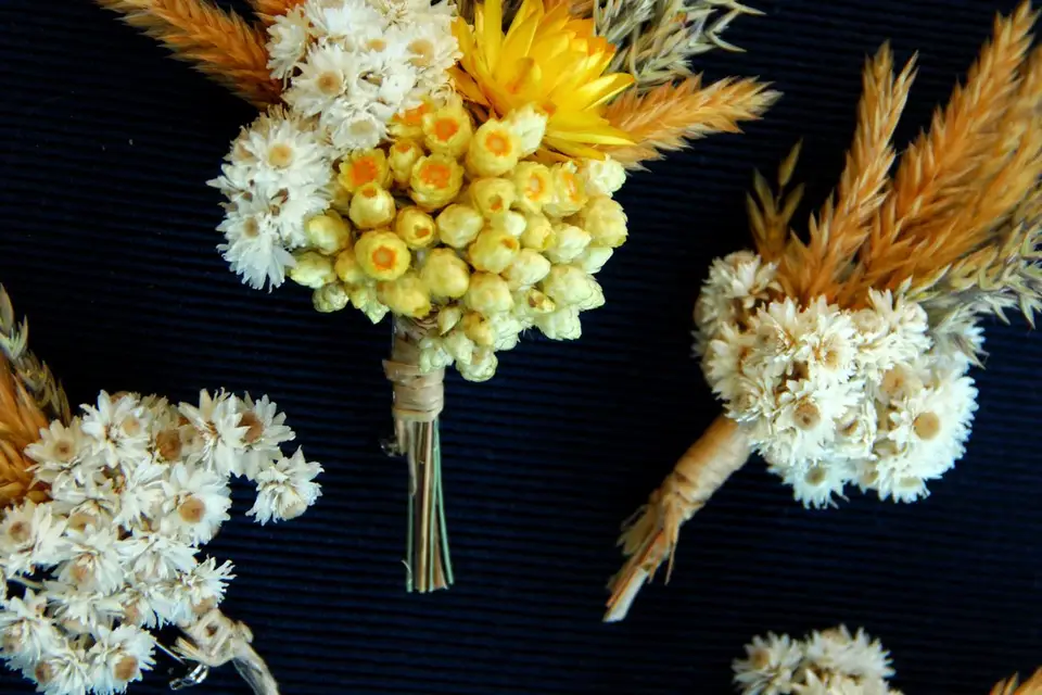 Simon Albo — photo 8