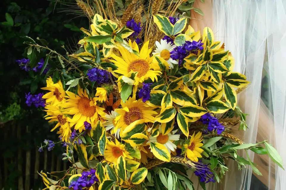 Simon Albo — photo 6