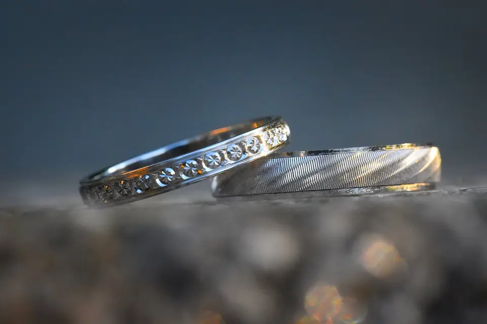 Focus Nature — photo 7