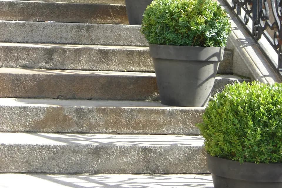 Laurent Alix — photo 5