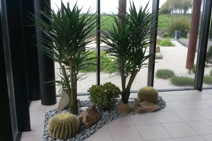 Laurent Alix — photo 7