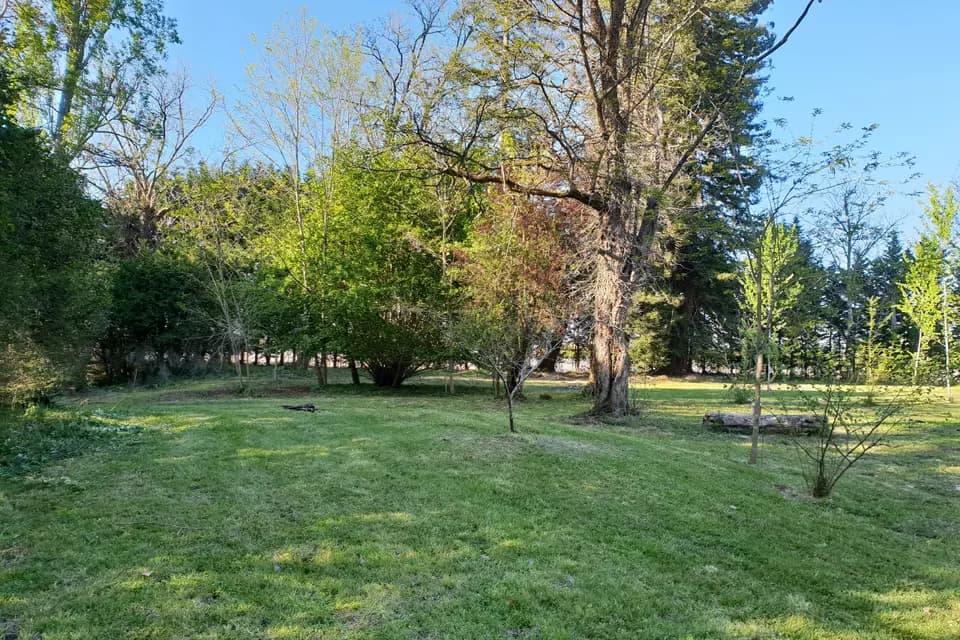 Domaine de Terrefort — photo 8