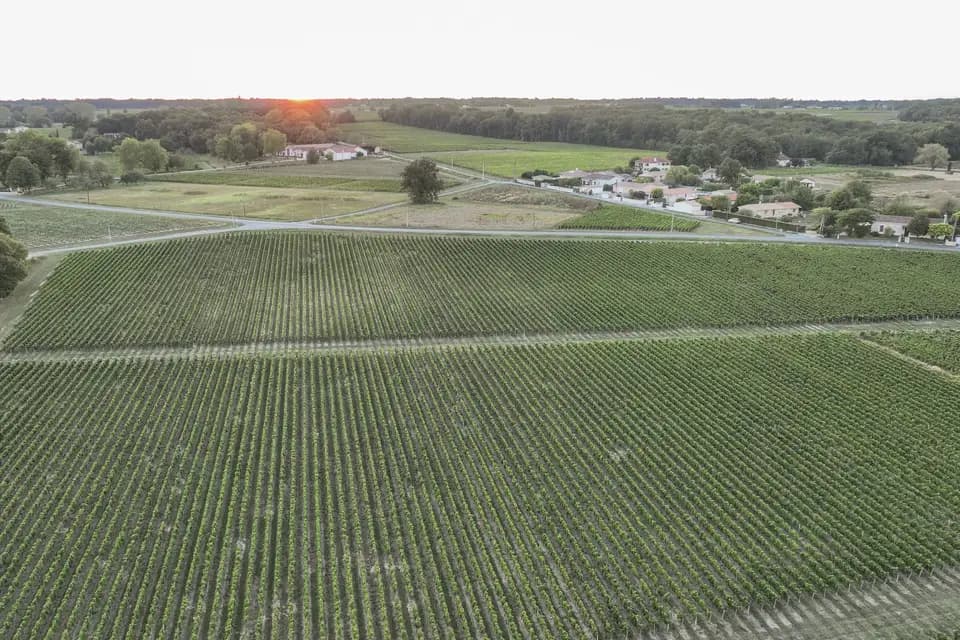 Domaine de Terrefort — photo 4