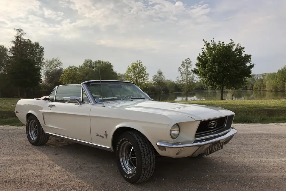 Atypic Car Rent — photo 4