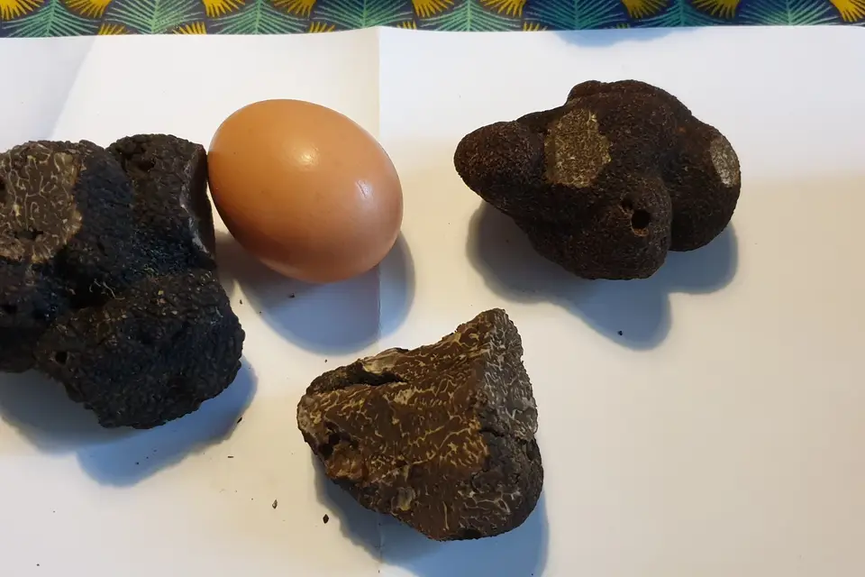 Foodtruck La Gourmande — photo 5