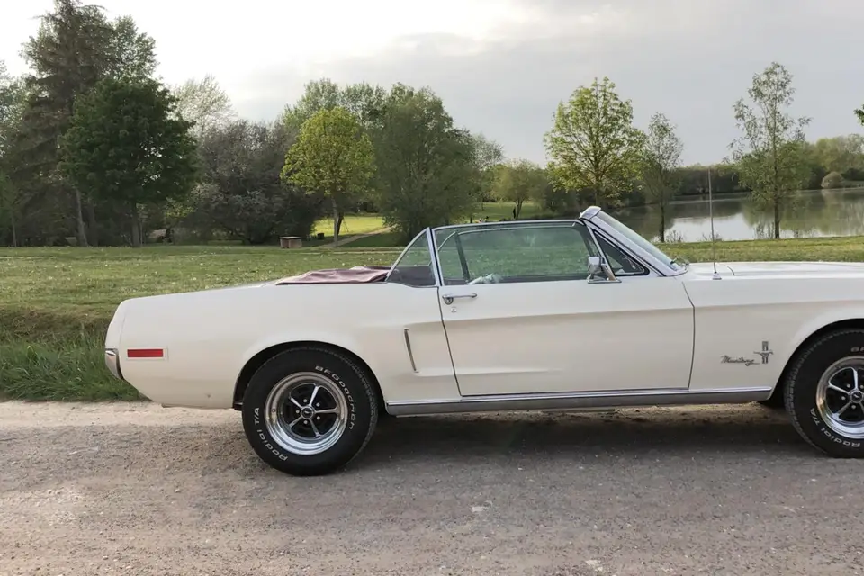 Atypic Car Rent — photo 5