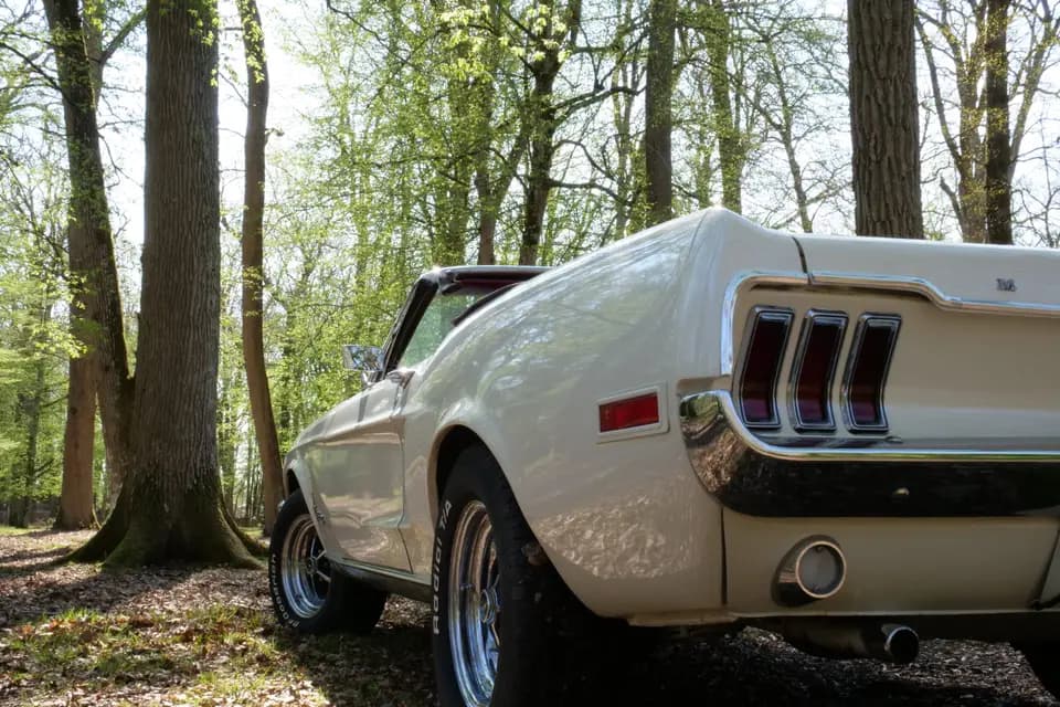 Atypic Car Rent — photo 2