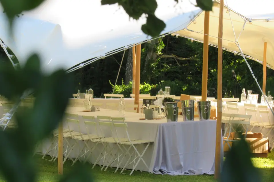 Château de Panisseau — photo 3