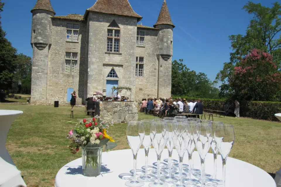 Château de Panisseau — photo 6