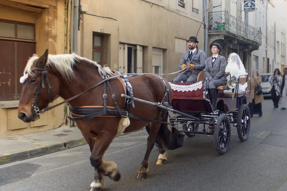 Tamanalou — photo 3