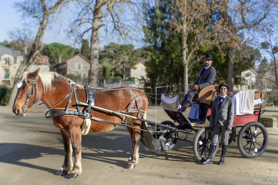 Tamanalou — photo 2