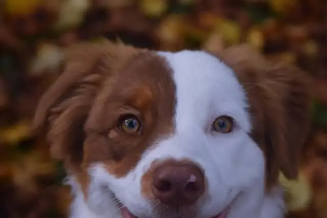 Jocelyn Malterre — photo 6