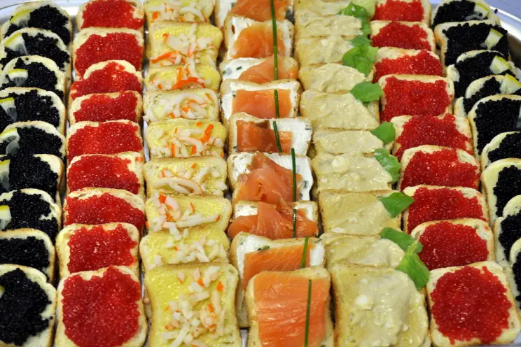 Eliza Cook — photo 3