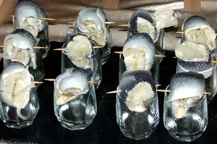 Eliza Cook — photo 6