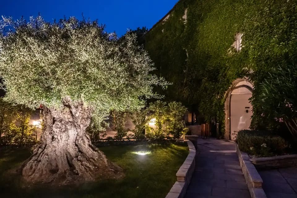 Le Domaine du Colombier — photo 3