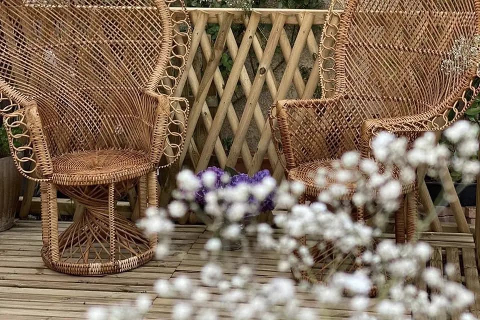 Le Chineur des Alpilles — photo 6