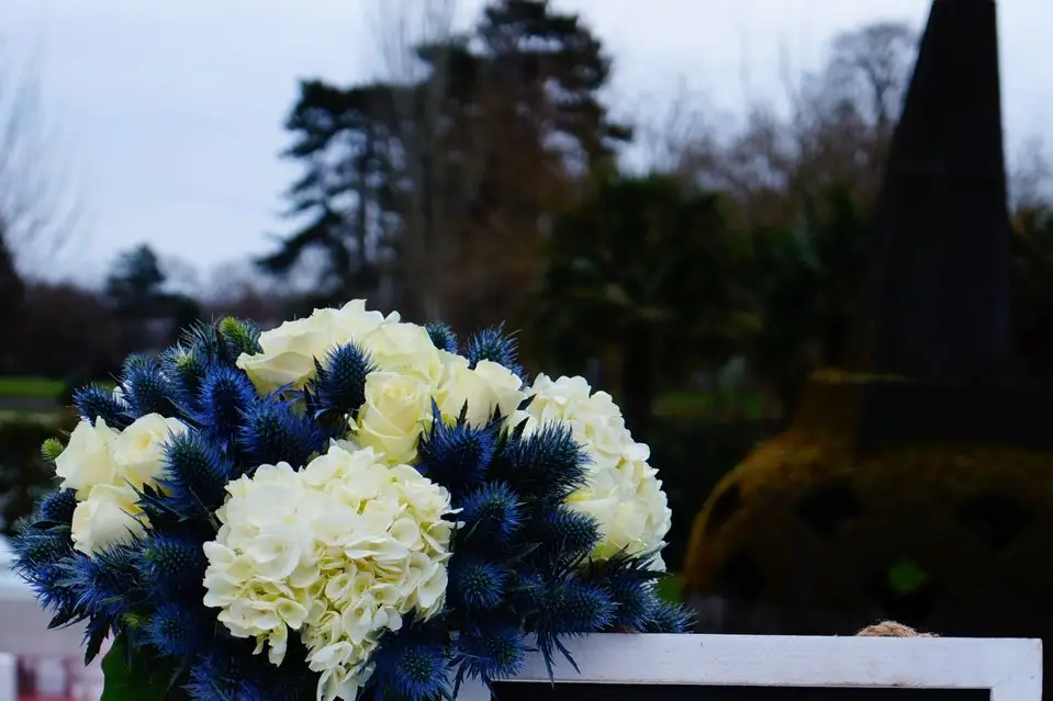 Yes We Do — photo 6