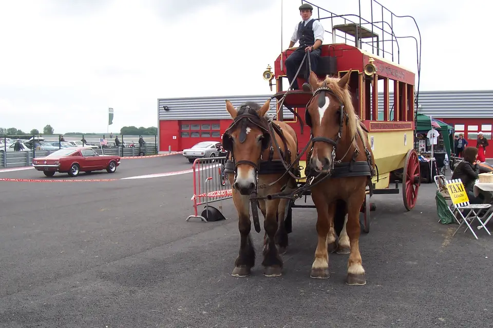 Les Attelages du Manoir — photo 4