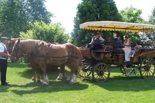Les Attelages du Manoir — photo 2