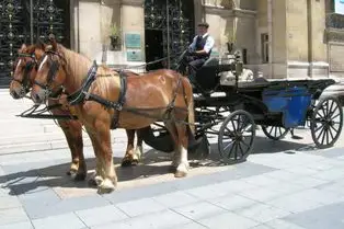 Les Attelages du Manoir — photo 1