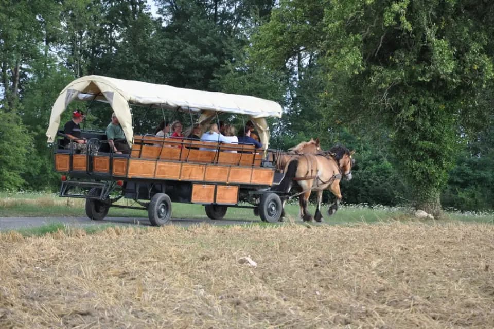 Les Attelages du Manoir — photo 3