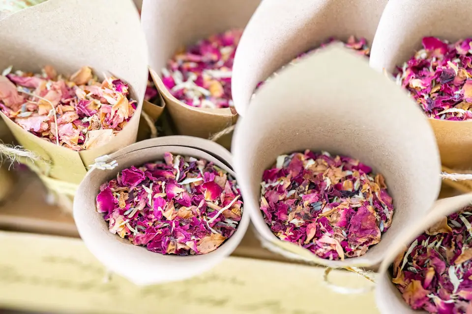 Moments Précieux — photo 1