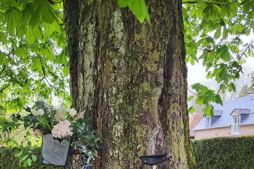 Cellier du Val Boury — photo 9