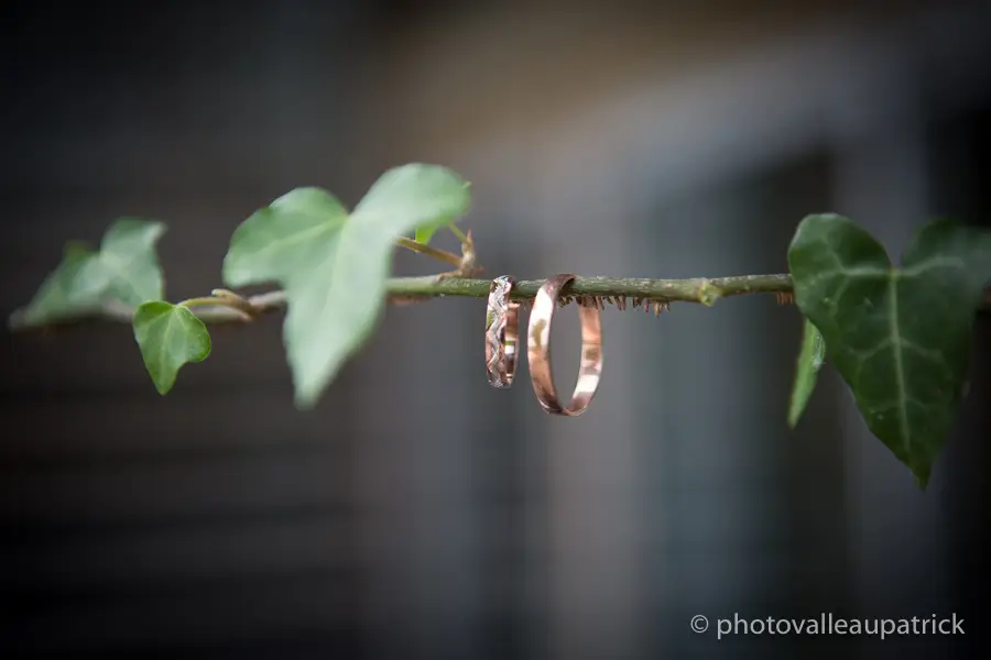 Les Cérémonies de Véronique — photo 3