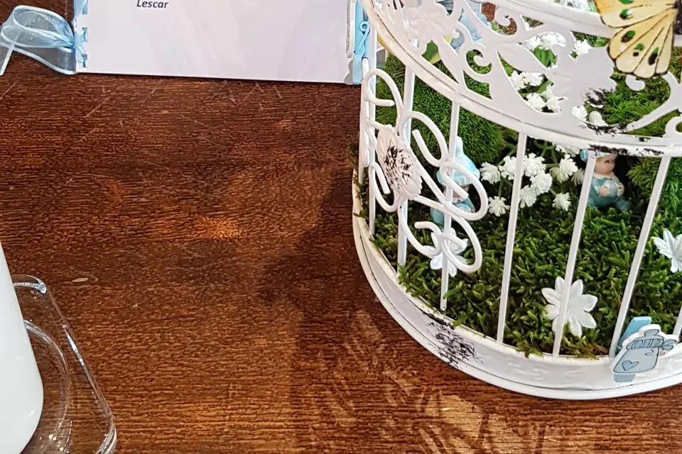 Les Cérémonies de Véronique — photo 8