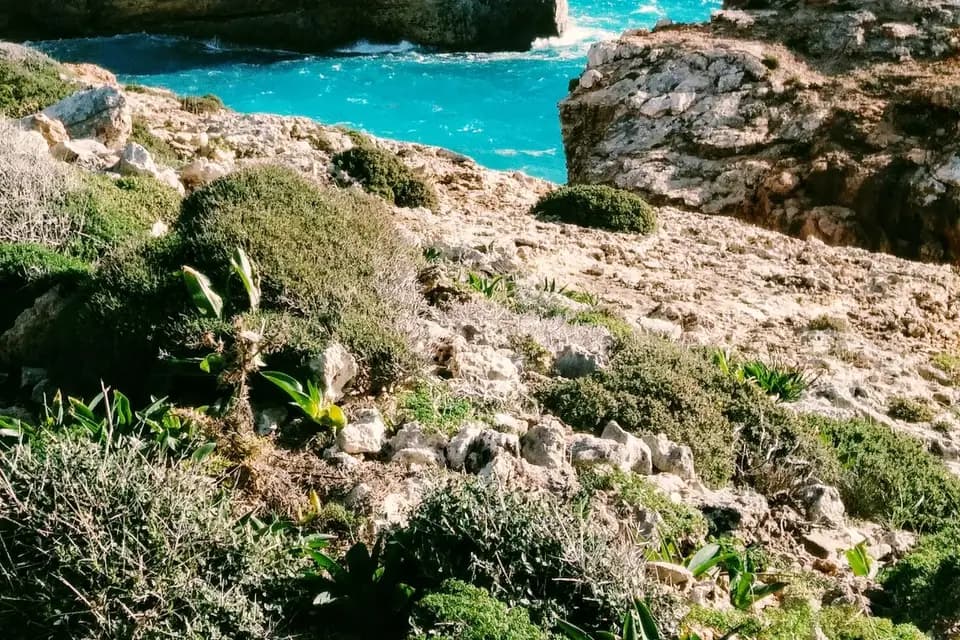 M Voyager — photo 1