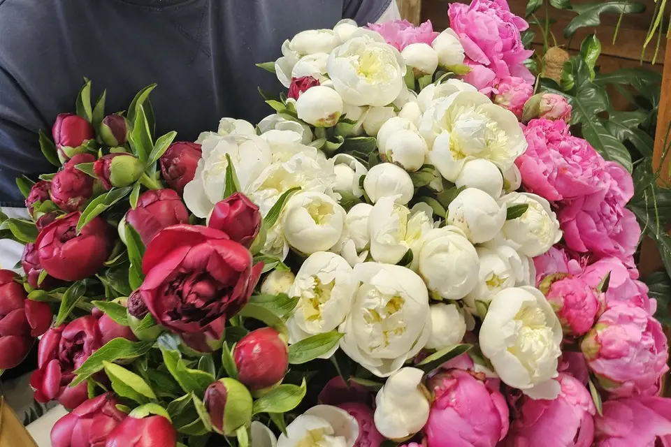 La Fabrique aux Fleurs — photo 3