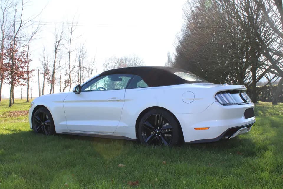 Luxury Cars Events — photo 2