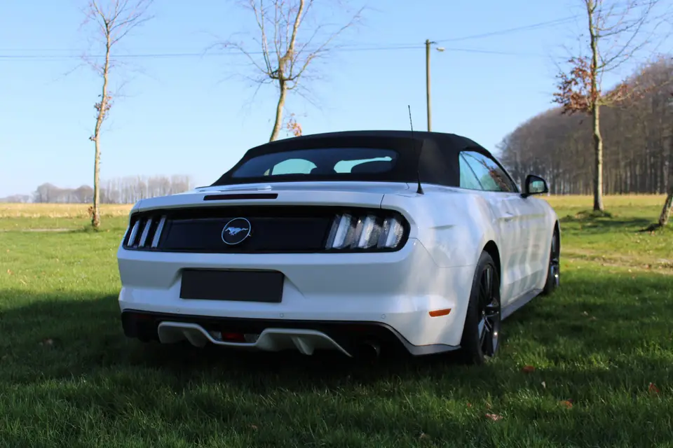 Luxury Cars Events — photo 3