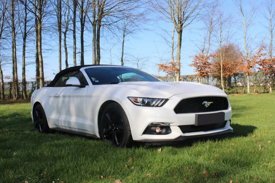 Luxury Cars Events — photo 4