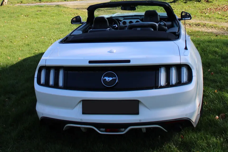 Luxury Cars Events — photo 6